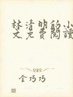 林清明的小说全文免费阅读无弹窗