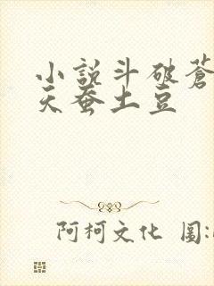 小说斗破苍穹2天蚕土豆