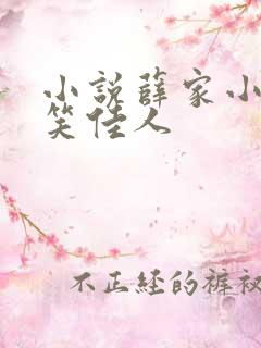 小说薛家小媳妇笑佳人
