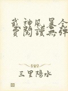 武神风暴全文免费阅读无弹窗笔趣阁