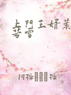 上门王婿叶凡唐若雪
