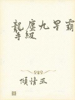 龙尘九星霸体诀等级