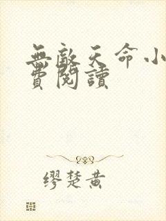 无敌天命小说免费阅读