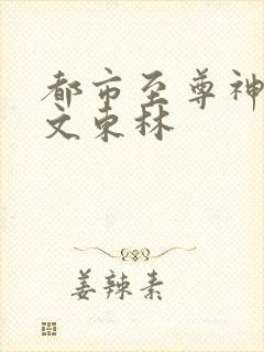 都市至尊神医徐文东林