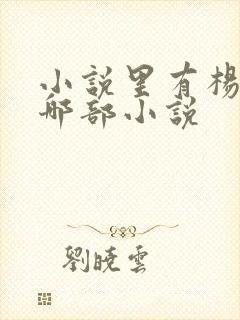 小说里有杨明是哪部小说