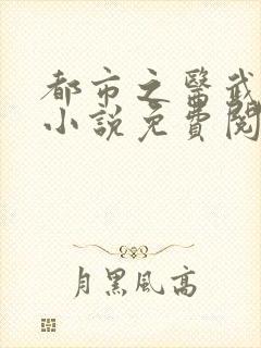 都市之医武阎王小说免费阅读