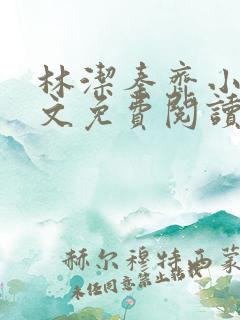 林洁秦齐小说全文免费阅读最新章节