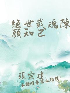 绝世武魂陈枫红颜知己
