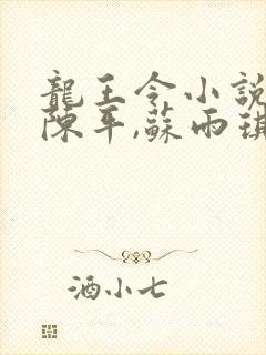 龙王令小说免费陈平,苏雨琪