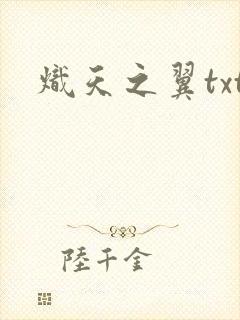炽天之翼txt