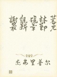 谢观砚林茉小说最新章节免费阅读全文