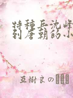 特种兵沈峰穿越到唐朝的小说