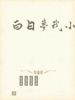 白日梦我小说