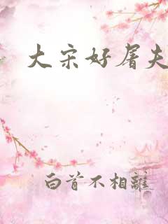 大宋好屠夫