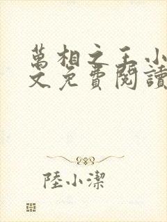 万相之王小说全文免费阅读无弹窗