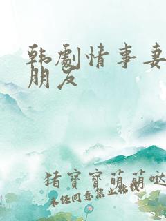 韩剧情事妻子的朋友