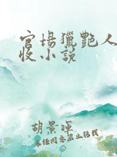 官场猎艳人妻全收小说
