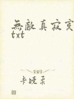 无敌真寂寞小说txt