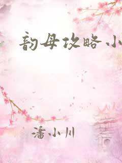 韵母攻略小说