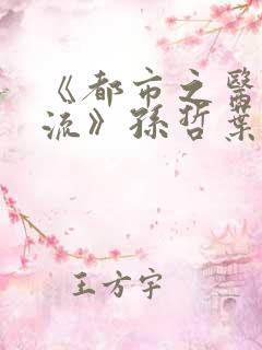 《都市之医武风流》孙哲叶巧