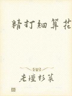精打细算花满筛