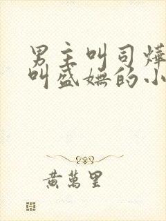 男主叫司烨女主叫盛妩的小说