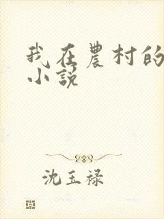 我在农村的性事小说