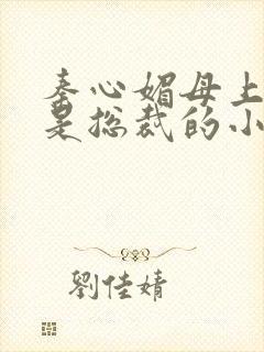 秦心媚母上大人是总裁的小说