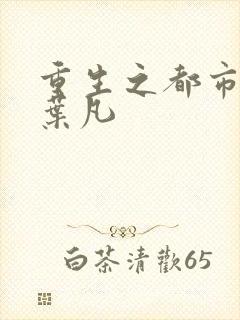 重生之都市仙帝叶凡