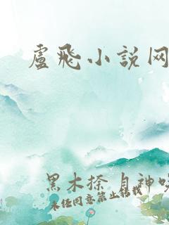 卢飞小说网
