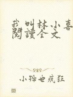 我叫林小喜免费阅读全文