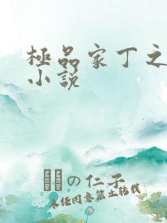 极品家丁之征服小说