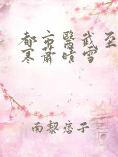 都市医武至尊孙寒萧晴雪