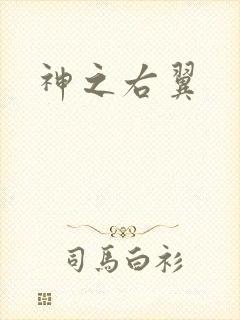 神之右翼
