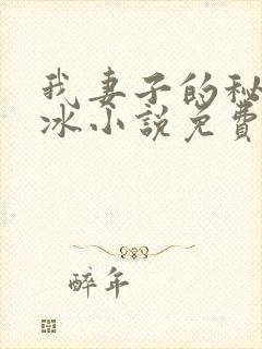 我妻子的秘密王冰小说免费阅读