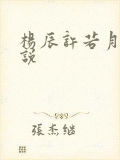 杨辰许若月的小说