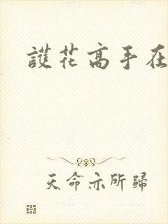 护花高手在江湖