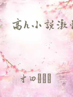 高h小说激情