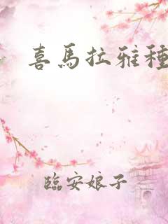 喜马拉雅种猫