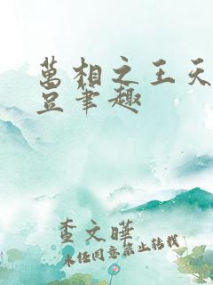 万相之王天蚕土豆笔趣