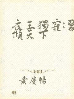 夜王独宠:医妃倾天下
