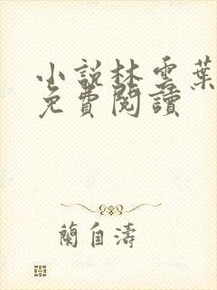小说林云叶婉清免费阅读