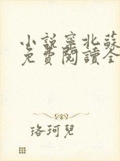 小说宁北苏清荷免费阅读全本
