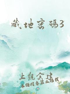 藏地密码3