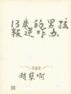 13岁的男孩子叛逆咋办