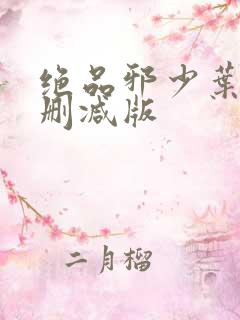绝品邪少叶潇无删减版