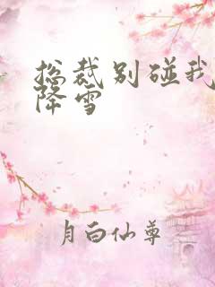 总裁别碰我 韩降雪