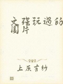 文强玩过的女人图片
