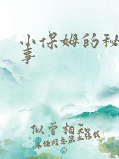 小保姆的秘密情事