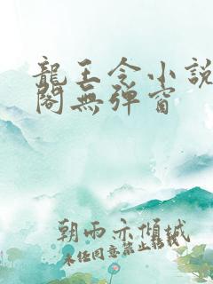 龙王令小说笔趣阁无弹窗